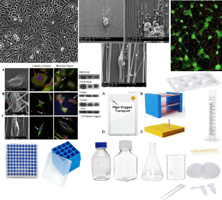  Precoated T-175 Flasks