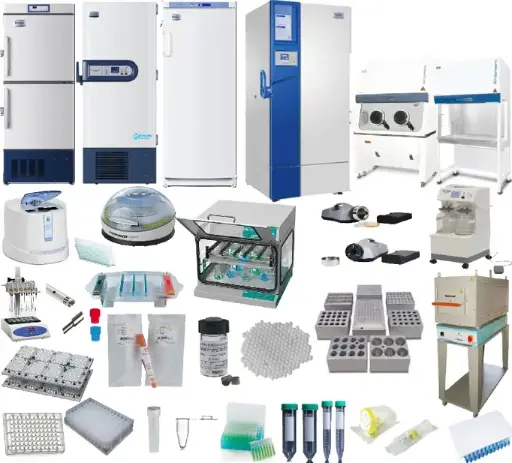 [ELH-HGFR-1] Custom Human Hepatic Growth Factor Receptor (HGFR)/c-MET ELISA Kit 1 x 96 well strip plate