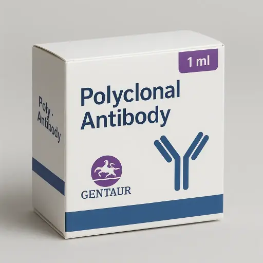 [AB-A7109] ANAPC5 Rabbit pAb - A7109